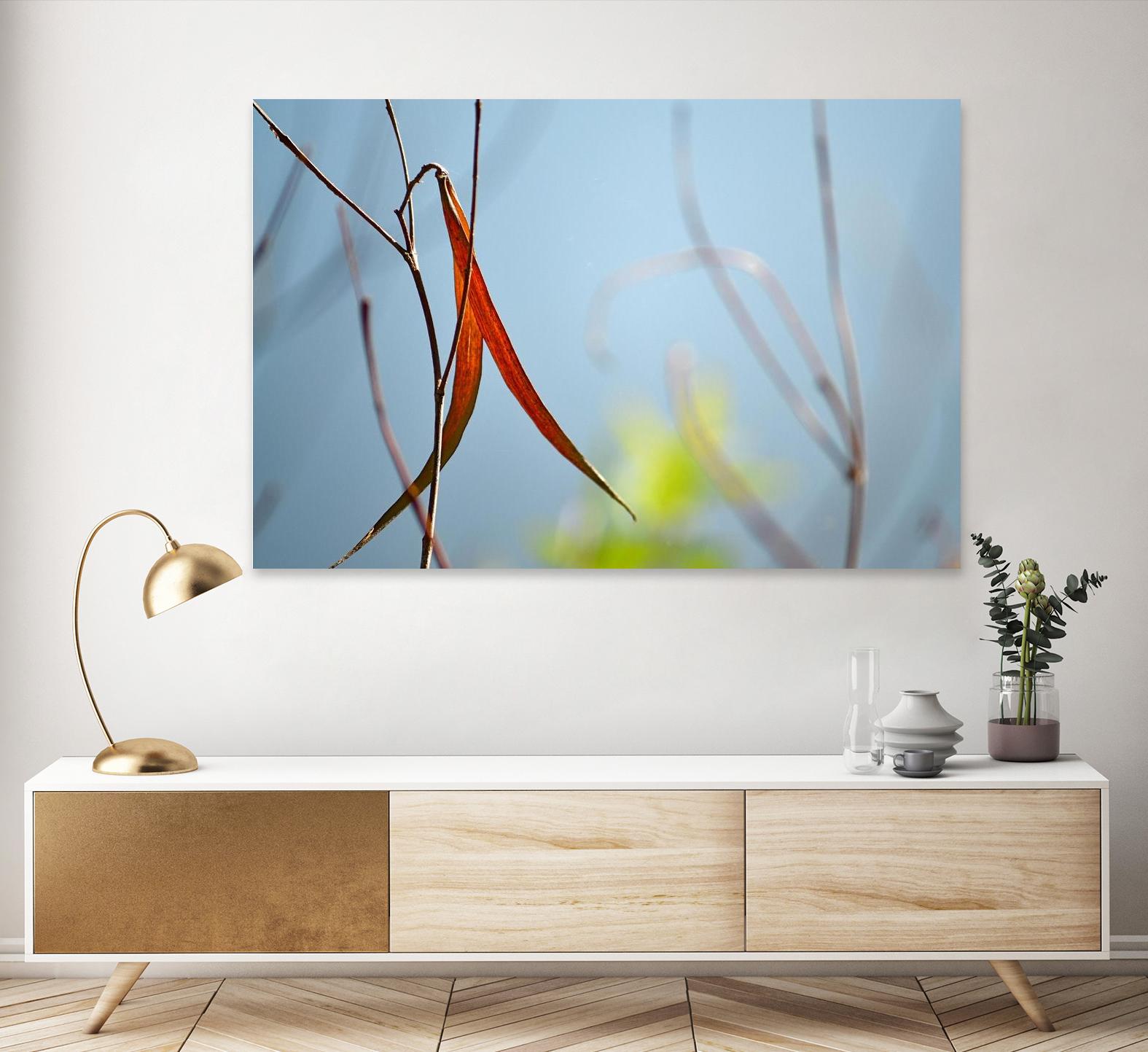 Red and Green by the River by Ulpi Gonzalez on GIANT ART - multicolor photography; floral/still life; landscapes