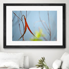 Red and Green by the River by Ulpi Gonzalez on GIANT ART - multicolor photography; floral/still life; landscapes