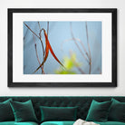 Red and Green by the River by Ulpi Gonzalez on GIANT ART - multicolor photography; floral/still life; landscapes