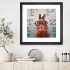 Four Eyes by Lucia Heffernan on GIANT ART - multicolor urban/pop surrealism; animals