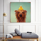 Bath Time by Lucia Heffernan on GIANT ART - multicolor urban/pop surrealism; animals