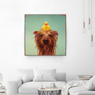 Bath Time by Lucia Heffernan on GIANT ART - multicolor urban/pop surrealism; animals