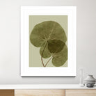 Heaven on 3rd II by Incado on GIANT ART - multicolor floral/still life; contemporary