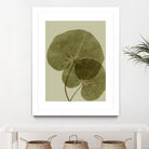 Heaven on 3rd II by Incado on GIANT ART - multicolor floral/still life; contemporary