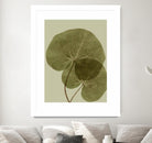 Heaven on 3rd II by Incado on GIANT ART - multicolor floral/still life; contemporary