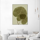 Heaven on 3rd II by Incado on GIANT ART - multicolor floral/still life; contemporary