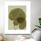 Heaven on 3rd II by Incado on GIANT ART - multicolor floral/still life; contemporary