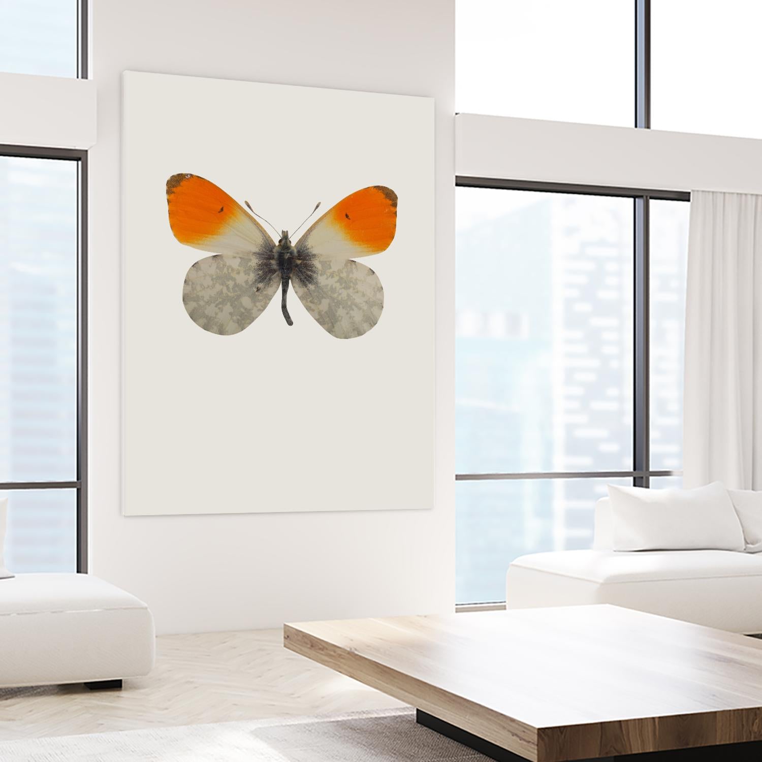 Agrias amydon by Incado on GIANT ART - multicolor animals; floral/still life