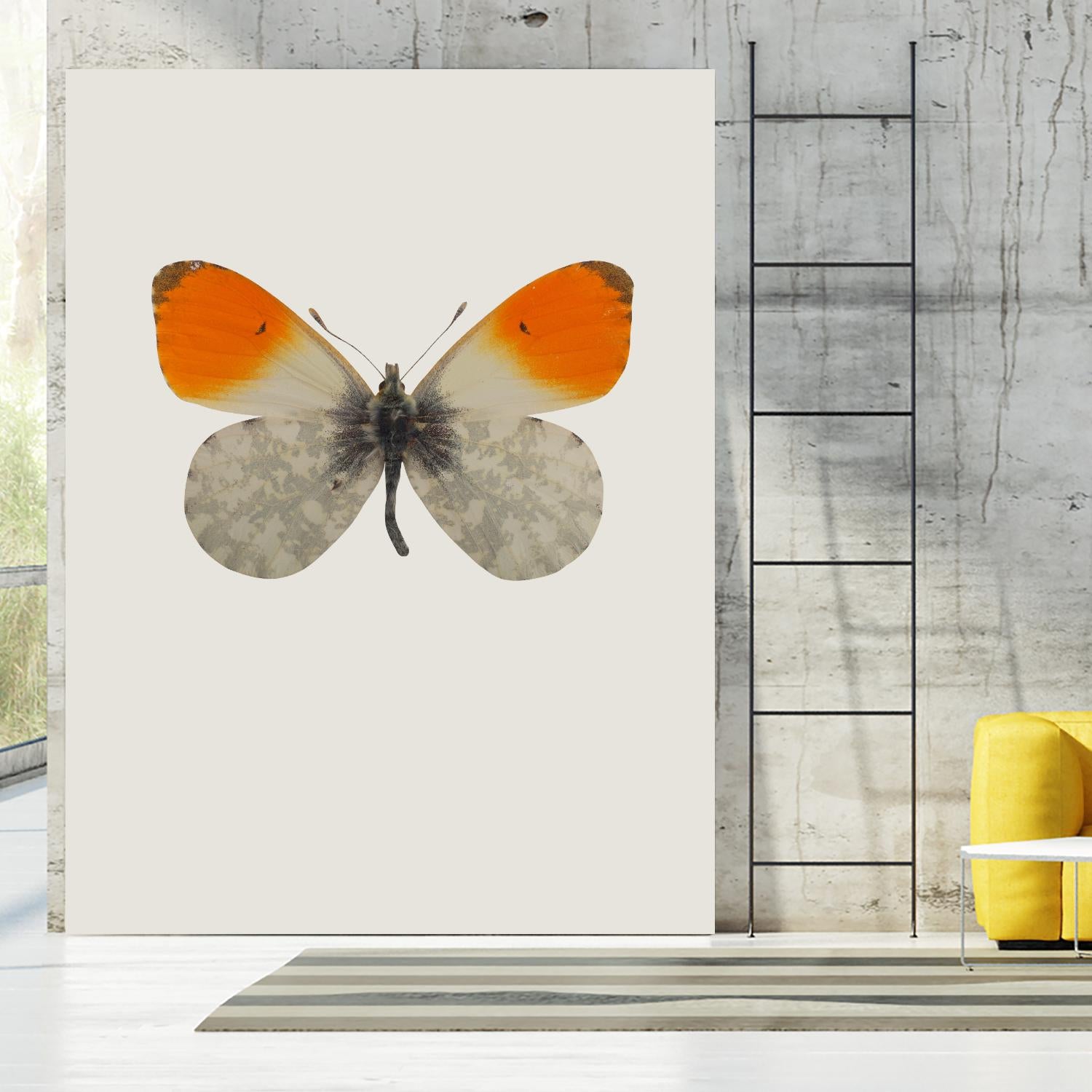 Agrias amydon by Incado on GIANT ART - multicolor animals; floral/still life