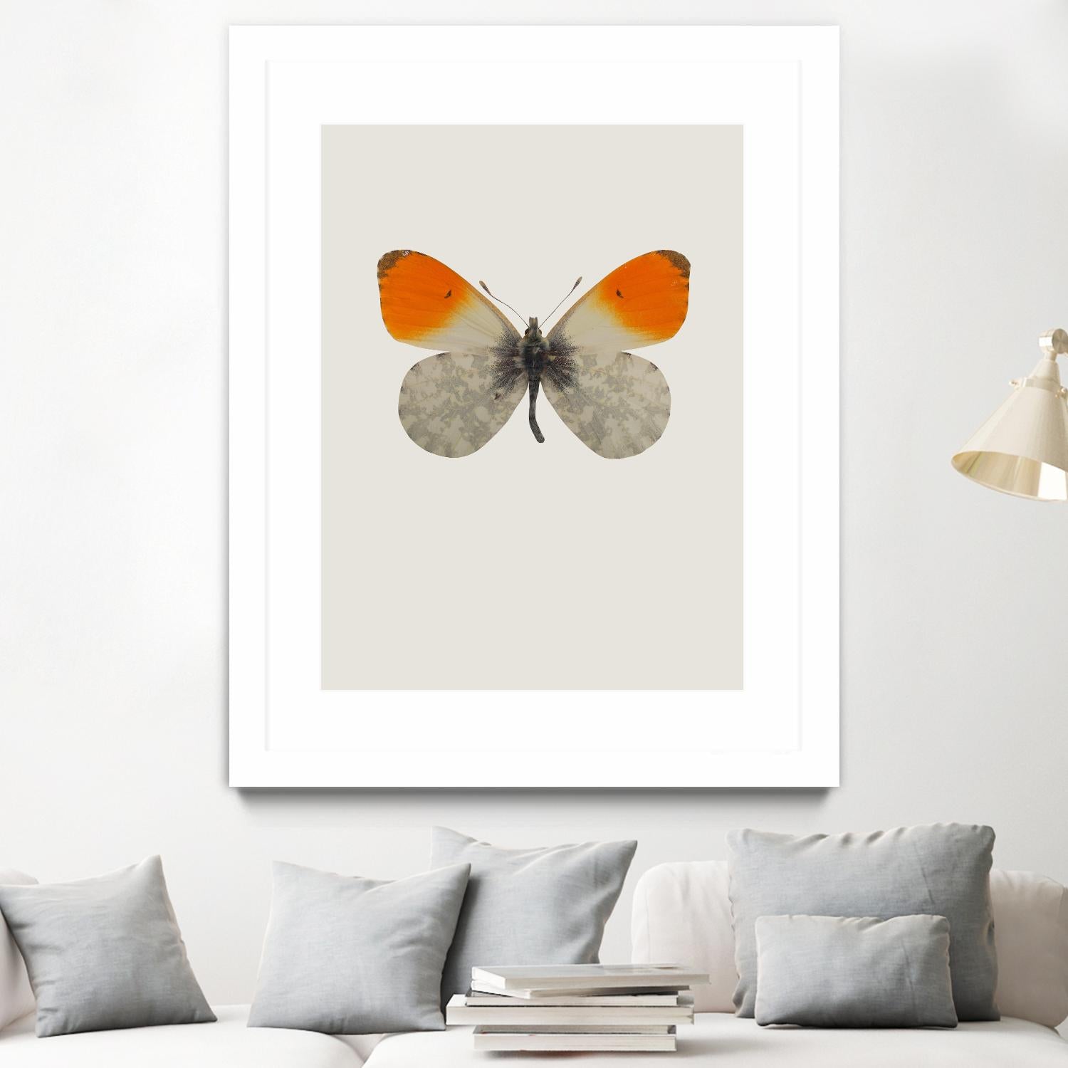 Agrias amydon by Incado on GIANT ART - multicolor animals; floral/still life