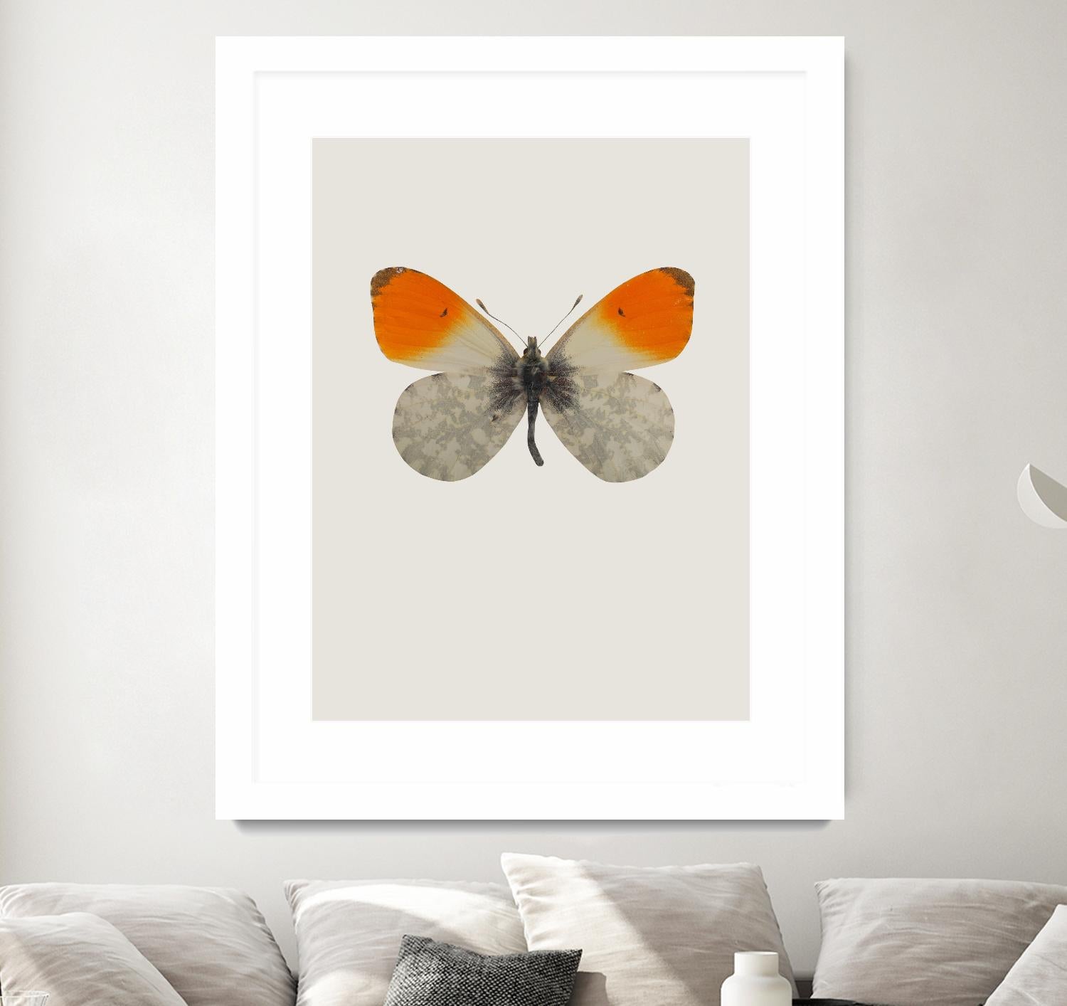 Agrias amydon by Incado on GIANT ART - multicolor animals; floral/still life