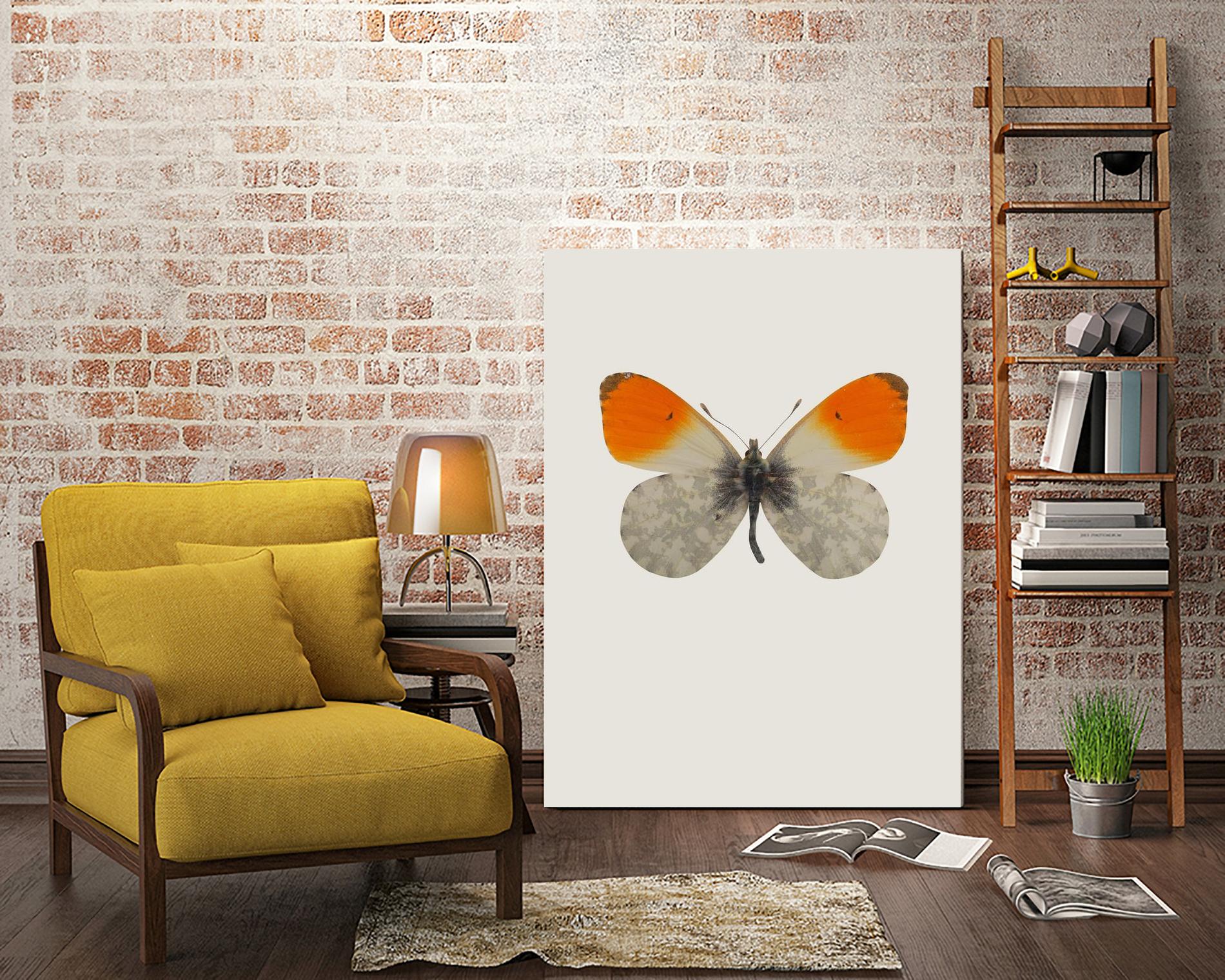 Agrias amydon by Incado on GIANT ART - multicolor animals; floral/still life