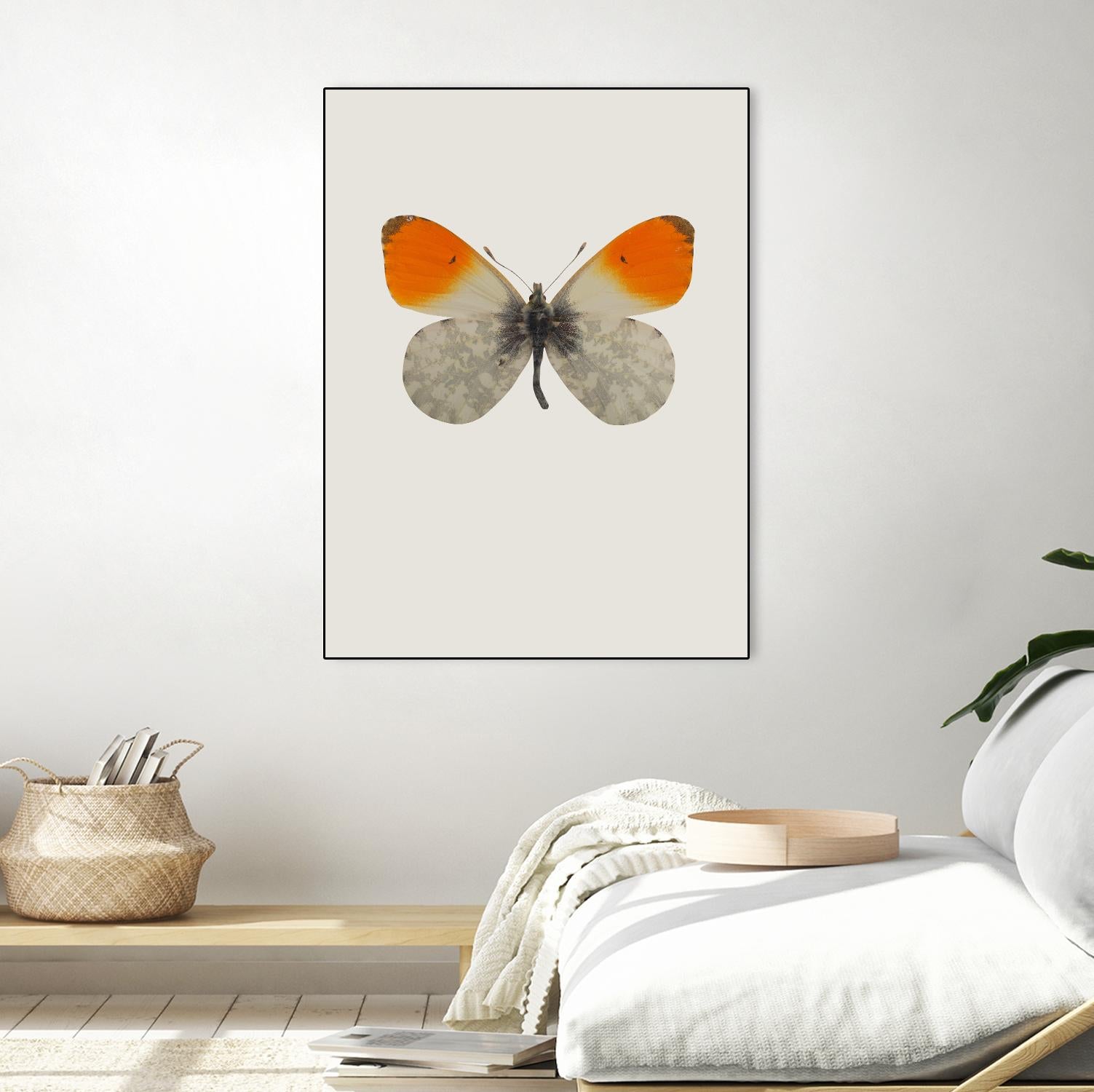 Agrias amydon by Incado on GIANT ART - multicolor animals; floral/still life