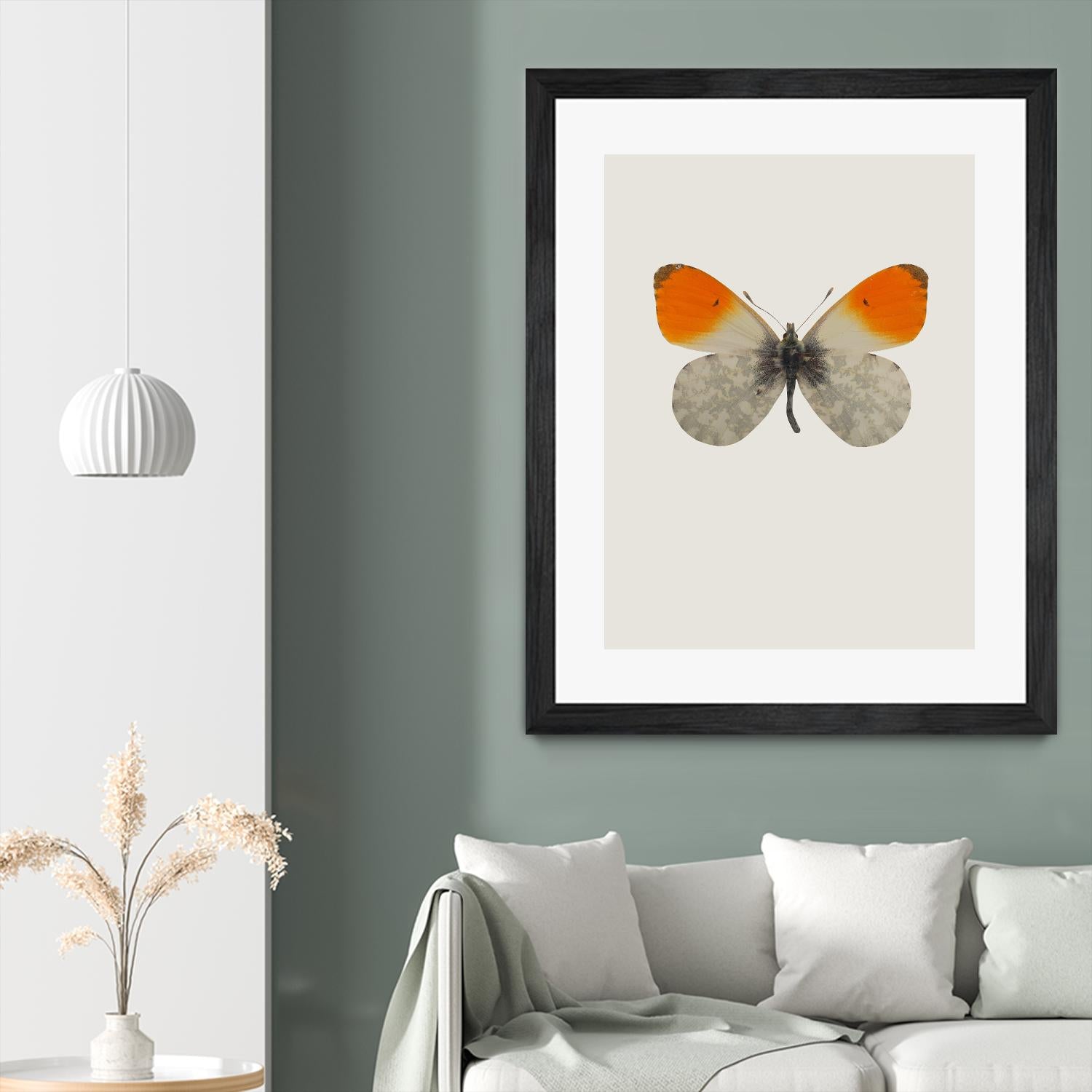 Agrias amydon by Incado on GIANT ART - multicolor animals; floral/still life