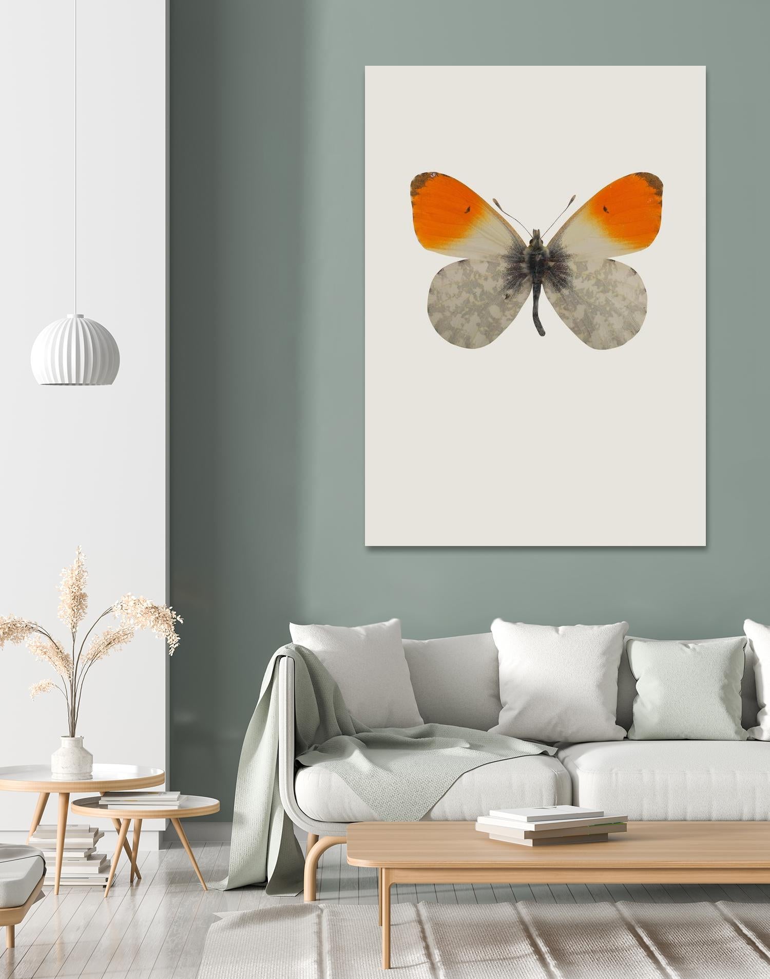 Agrias amydon by Incado on GIANT ART - multicolor animals; floral/still life