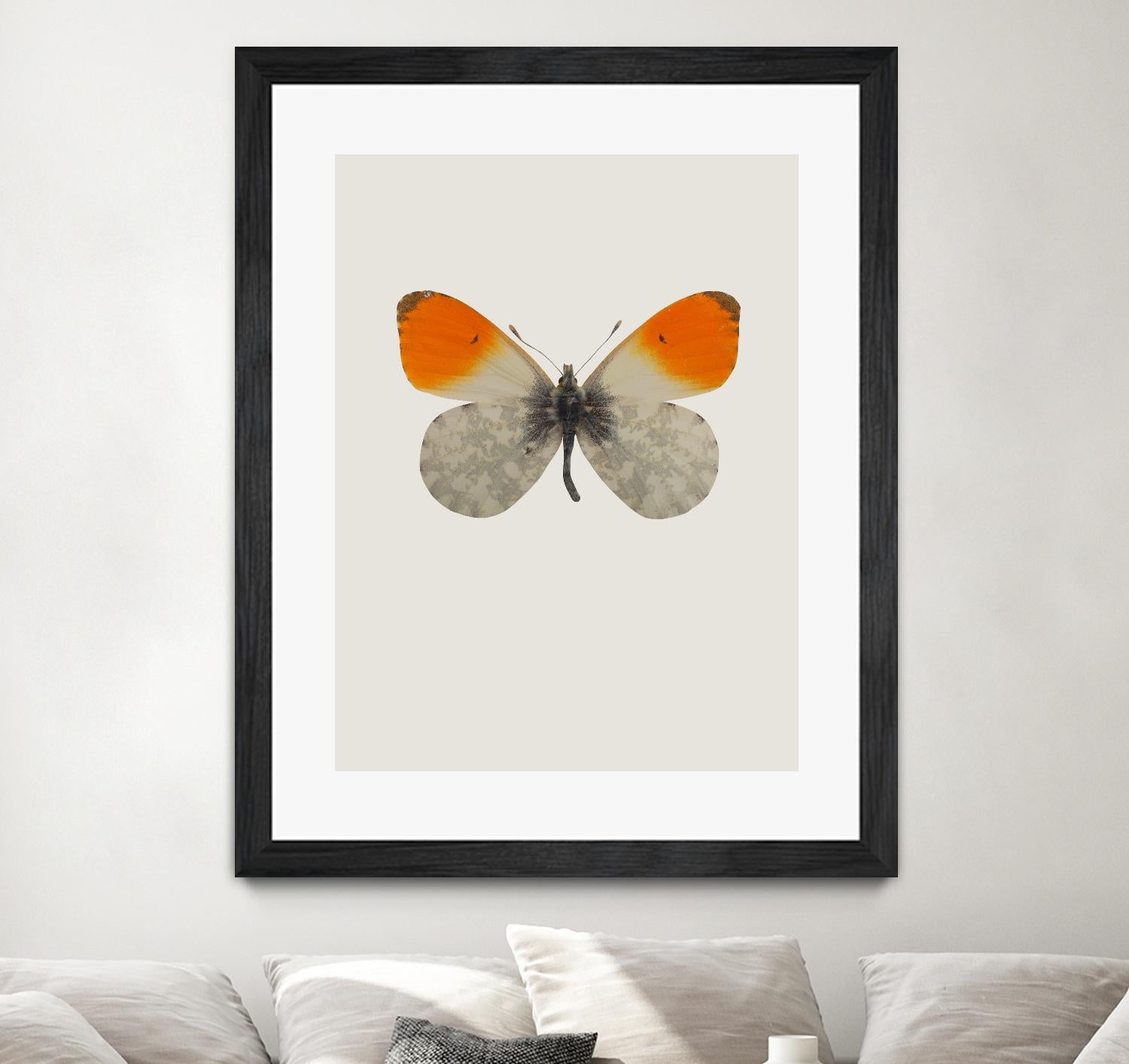 Agrias amydon by Incado on GIANT ART - multicolor animals; floral/still life