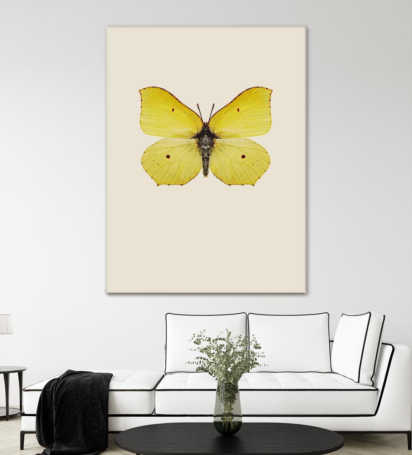Gonepteryx rhamni by Incado on GIANT ART - multicolor animals; floral/still life