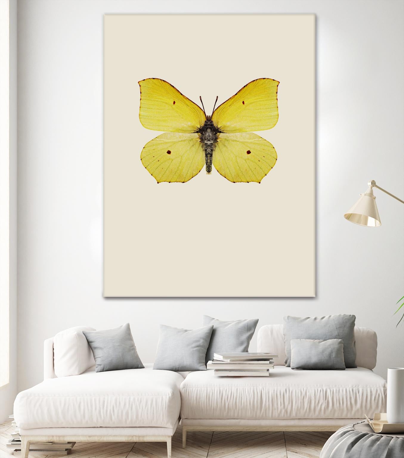 Gonepteryx rhamni by Incado on GIANT ART - multicolor animals; floral/still life
