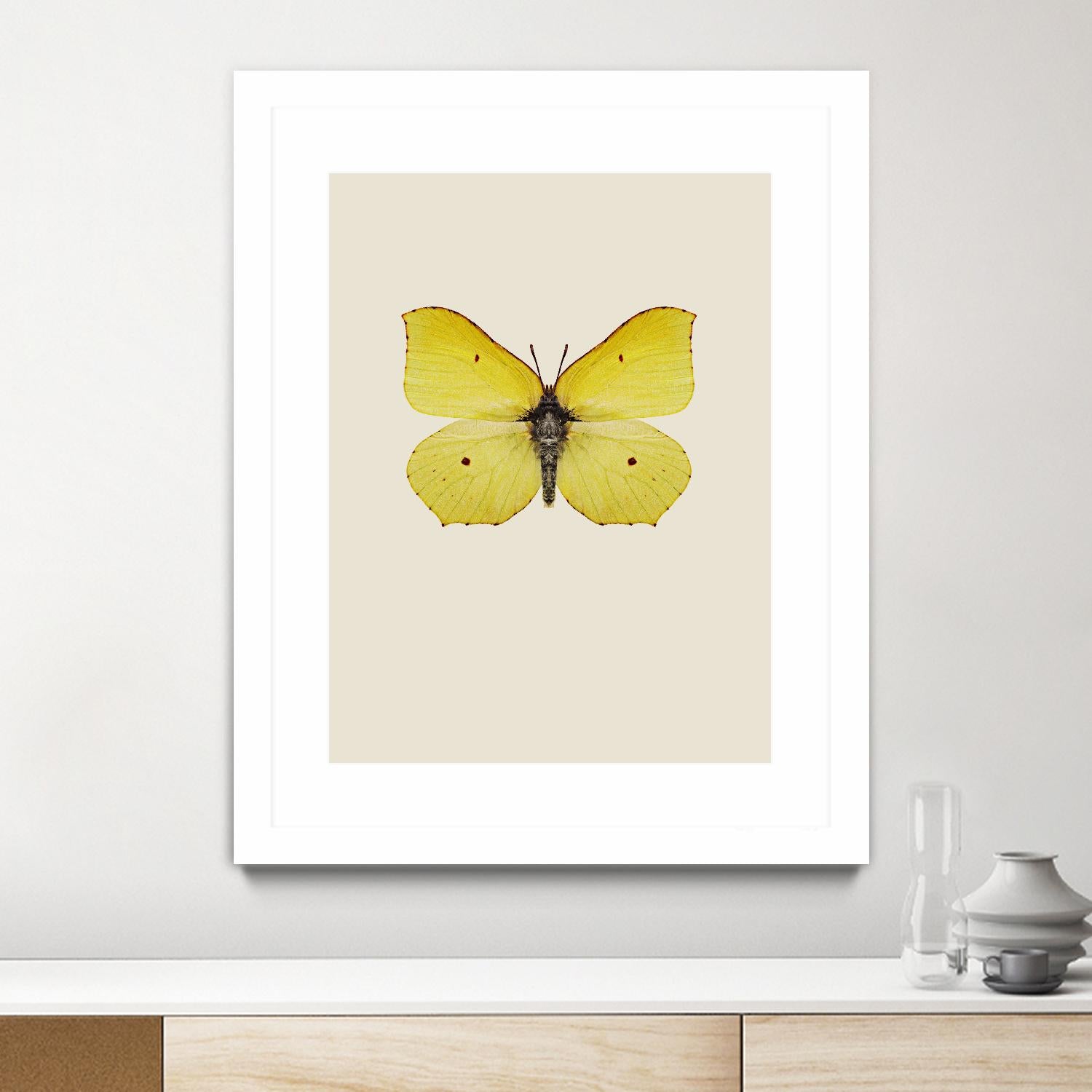 Gonepteryx rhamni by Incado on GIANT ART - multicolor animals; floral/still life