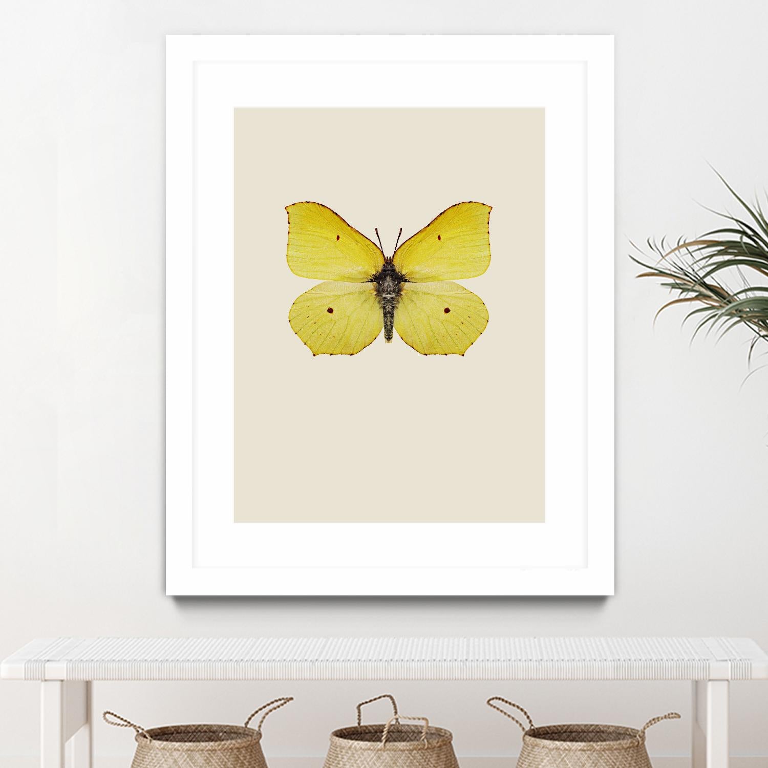 Gonepteryx rhamni by Incado on GIANT ART - multicolor animals; floral/still life