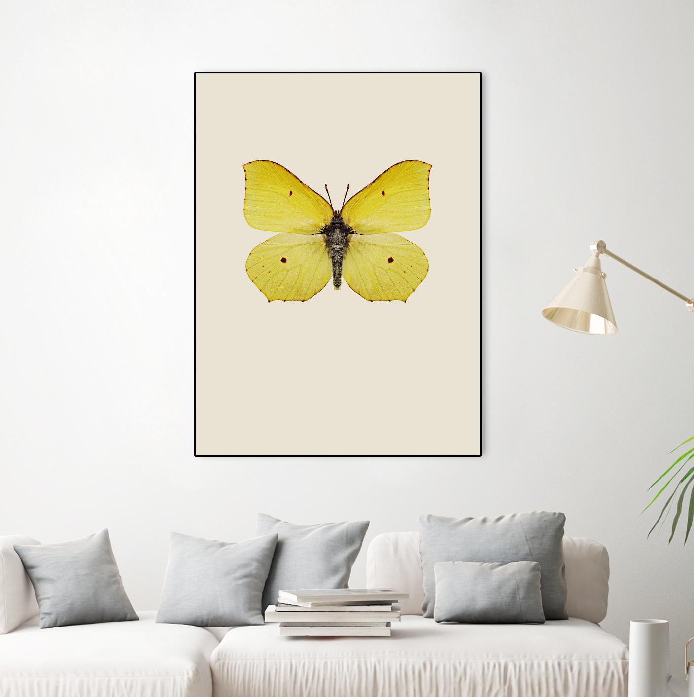 Gonepteryx rhamni by Incado on GIANT ART - multicolor animals; floral/still life
