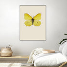 Gonepteryx rhamni by Incado on GIANT ART - multicolor animals; floral/still life