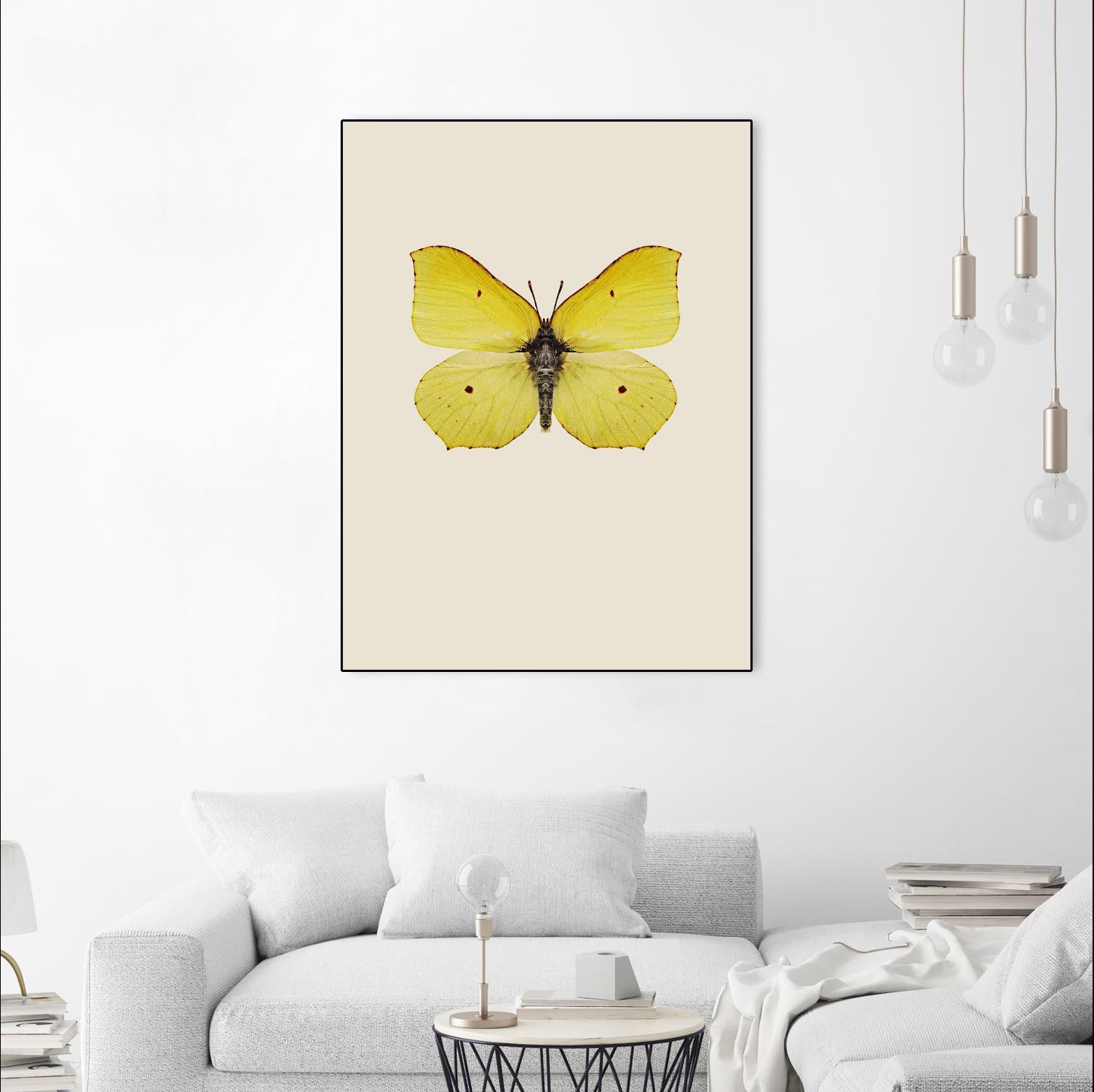 Gonepteryx rhamni by Incado on GIANT ART - multicolor animals; floral/still life