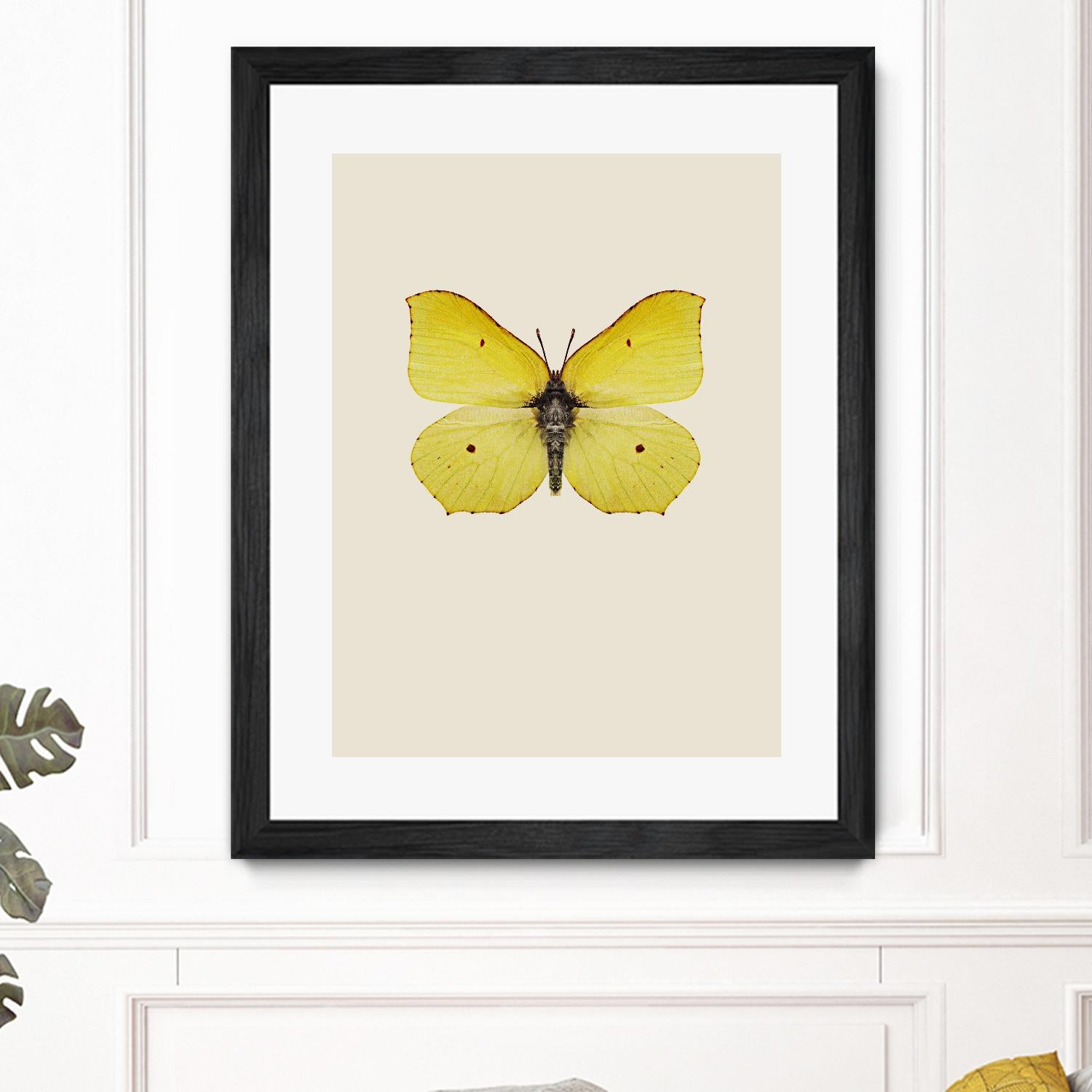 Gonepteryx rhamni by Incado on GIANT ART - multicolor animals; floral/still life