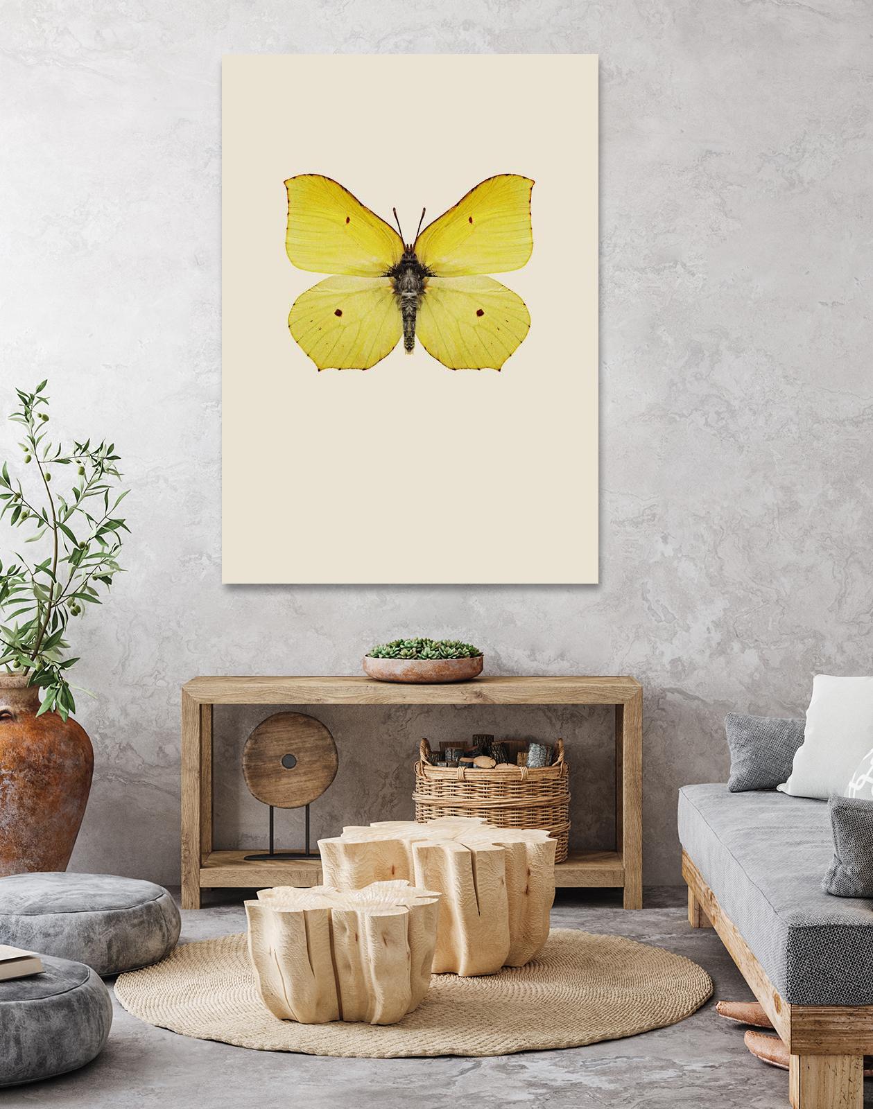 Gonepteryx rhamni by Incado on GIANT ART - multicolor animals; floral/still life