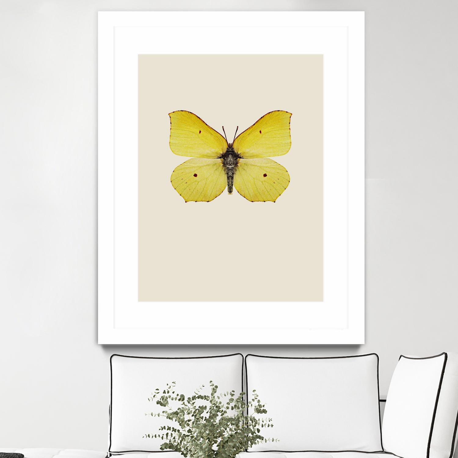 Gonepteryx rhamni by Incado on GIANT ART - multicolor animals; floral/still life