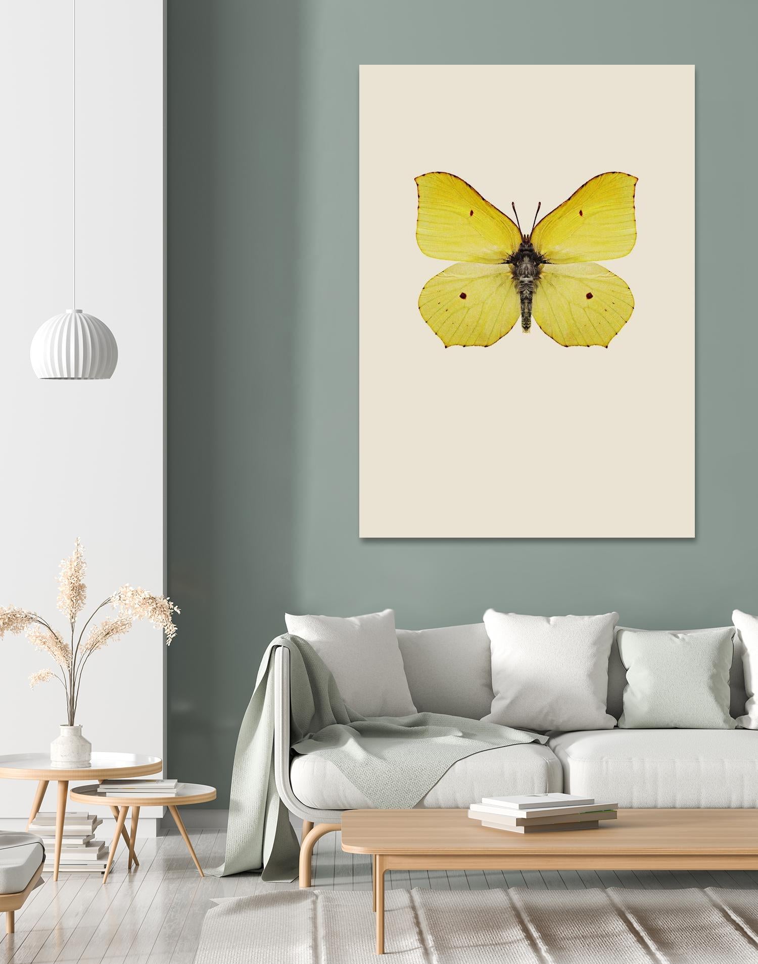 Gonepteryx rhamni by Incado on GIANT ART - multicolor animals; floral/still life