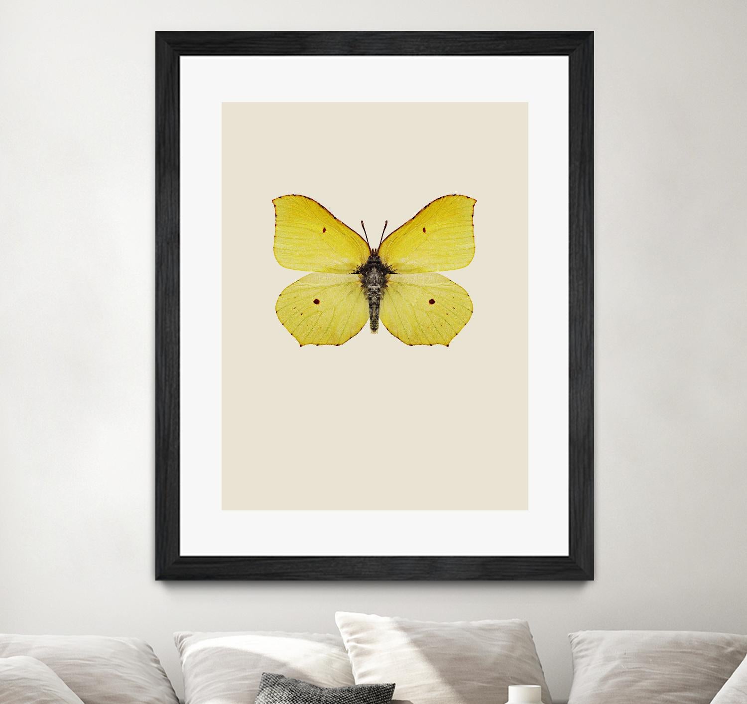 Gonepteryx rhamni by Incado on GIANT ART - multicolor animals; floral/still life