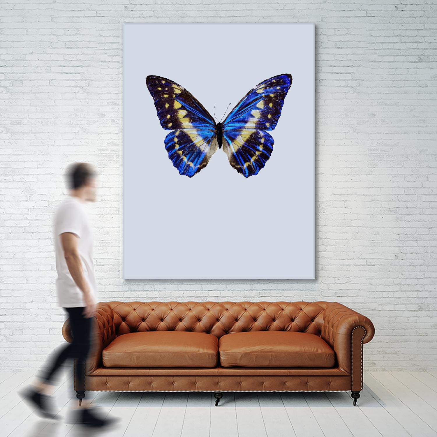 Blue Butterfly by Incado on GIANT ART - multicolor animals; floral/still life