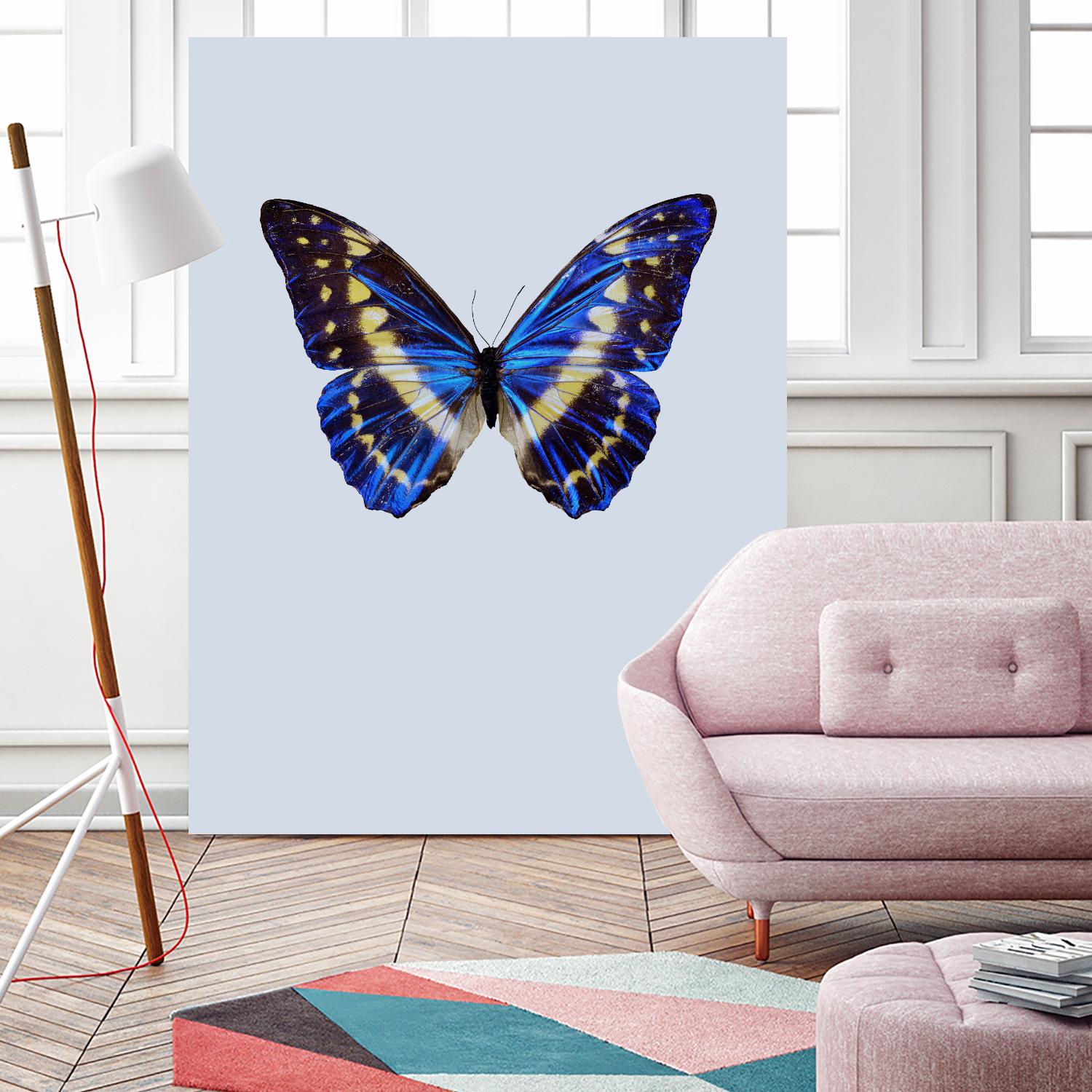 Blue Butterfly by Incado on GIANT ART - multicolor animals; floral/still life