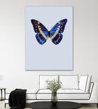 Blue Butterfly by Incado on GIANT ART - multicolor animals; floral/still life