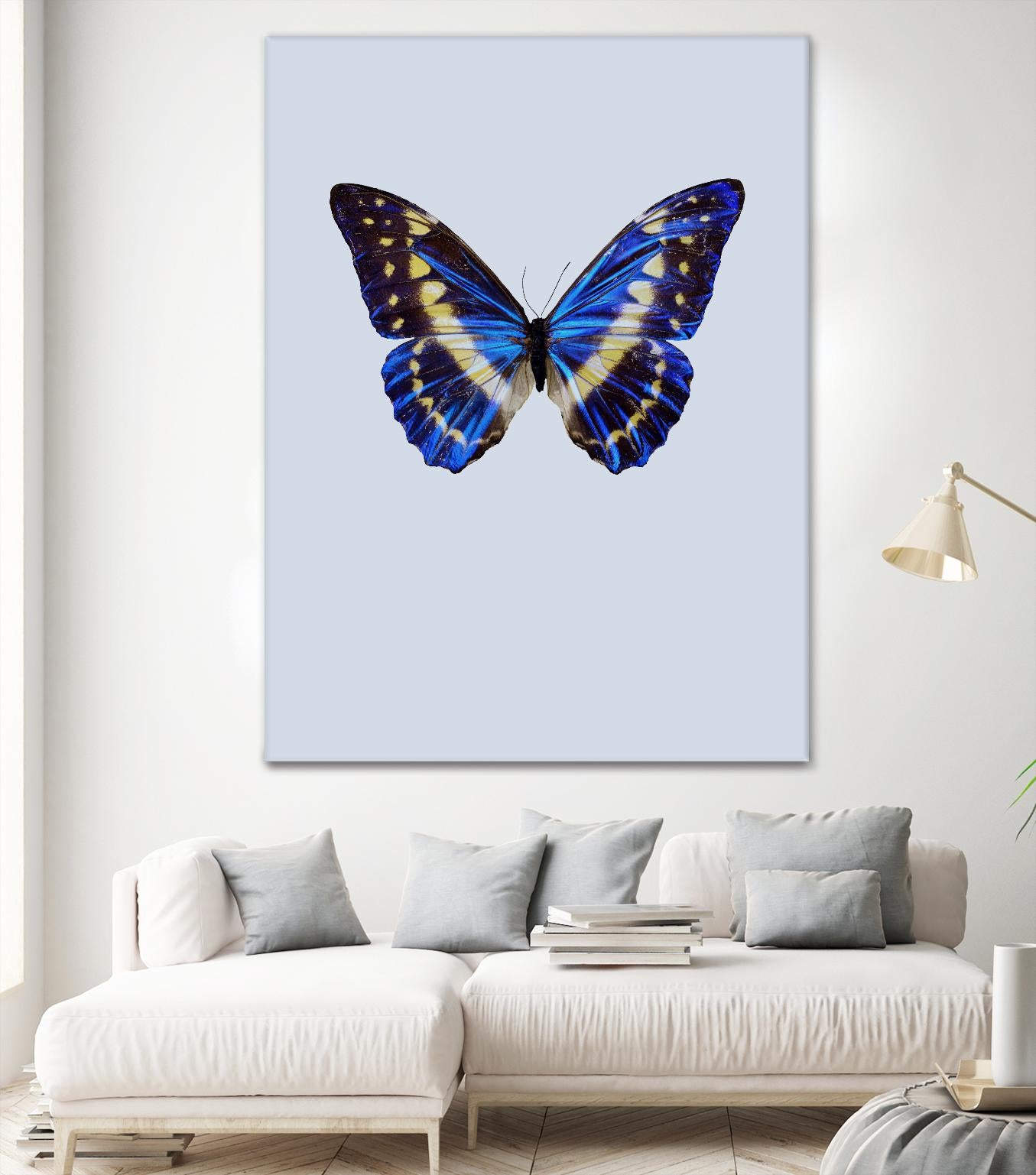 Blue Butterfly by Incado on GIANT ART - multicolor animals; floral/still life