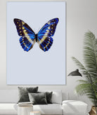 Blue Butterfly by Incado on GIANT ART - multicolor animals; floral/still life