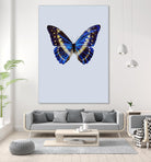 Blue Butterfly by Incado on GIANT ART - multicolor animals; floral/still life