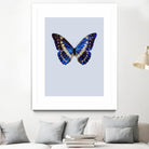 Blue Butterfly by Incado on GIANT ART - multicolor animals; floral/still life