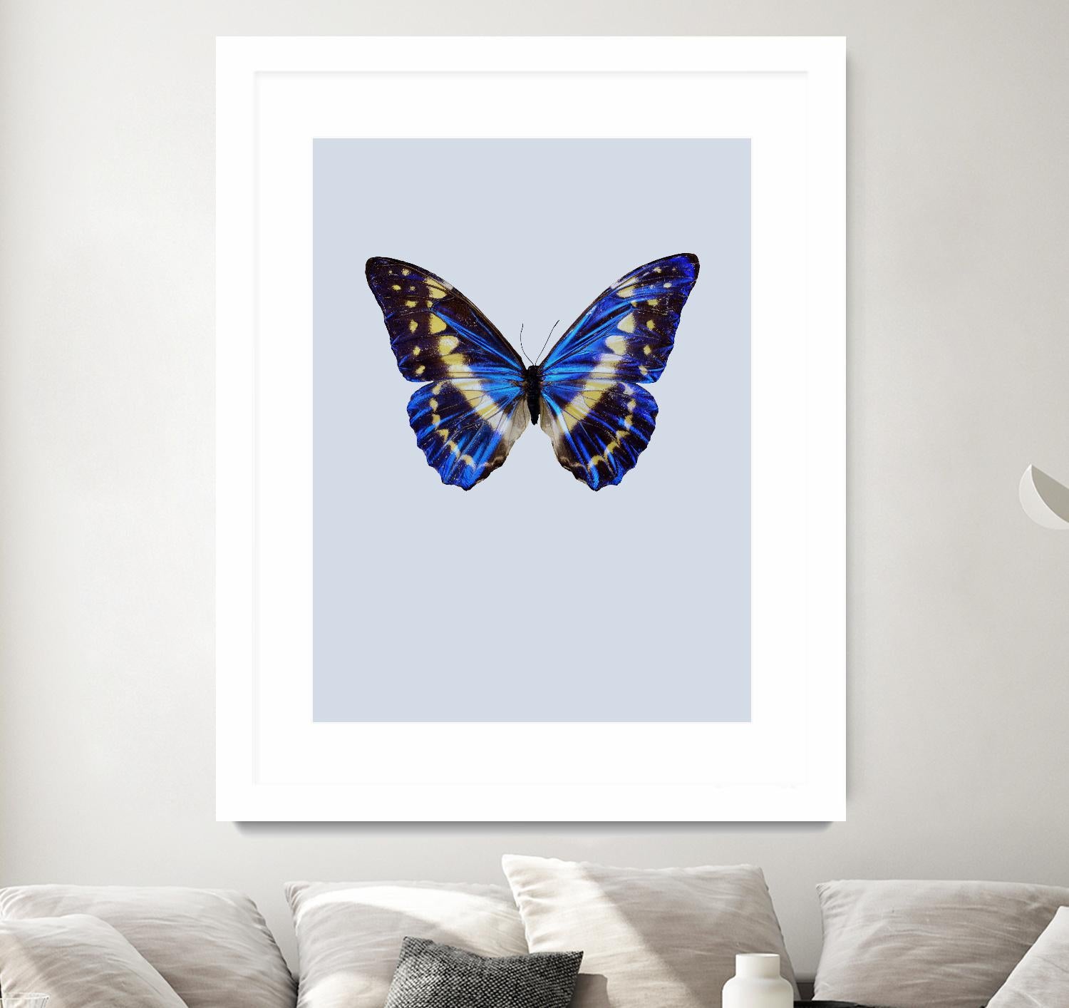 Blue Butterfly by Incado on GIANT ART - multicolor animals; floral/still life