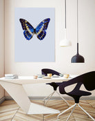 Blue Butterfly by Incado on GIANT ART - multicolor animals; floral/still life