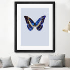 Blue Butterfly by Incado on GIANT ART - multicolor animals; floral/still life