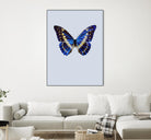 Blue Butterfly by Incado on GIANT ART - multicolor animals; floral/still life