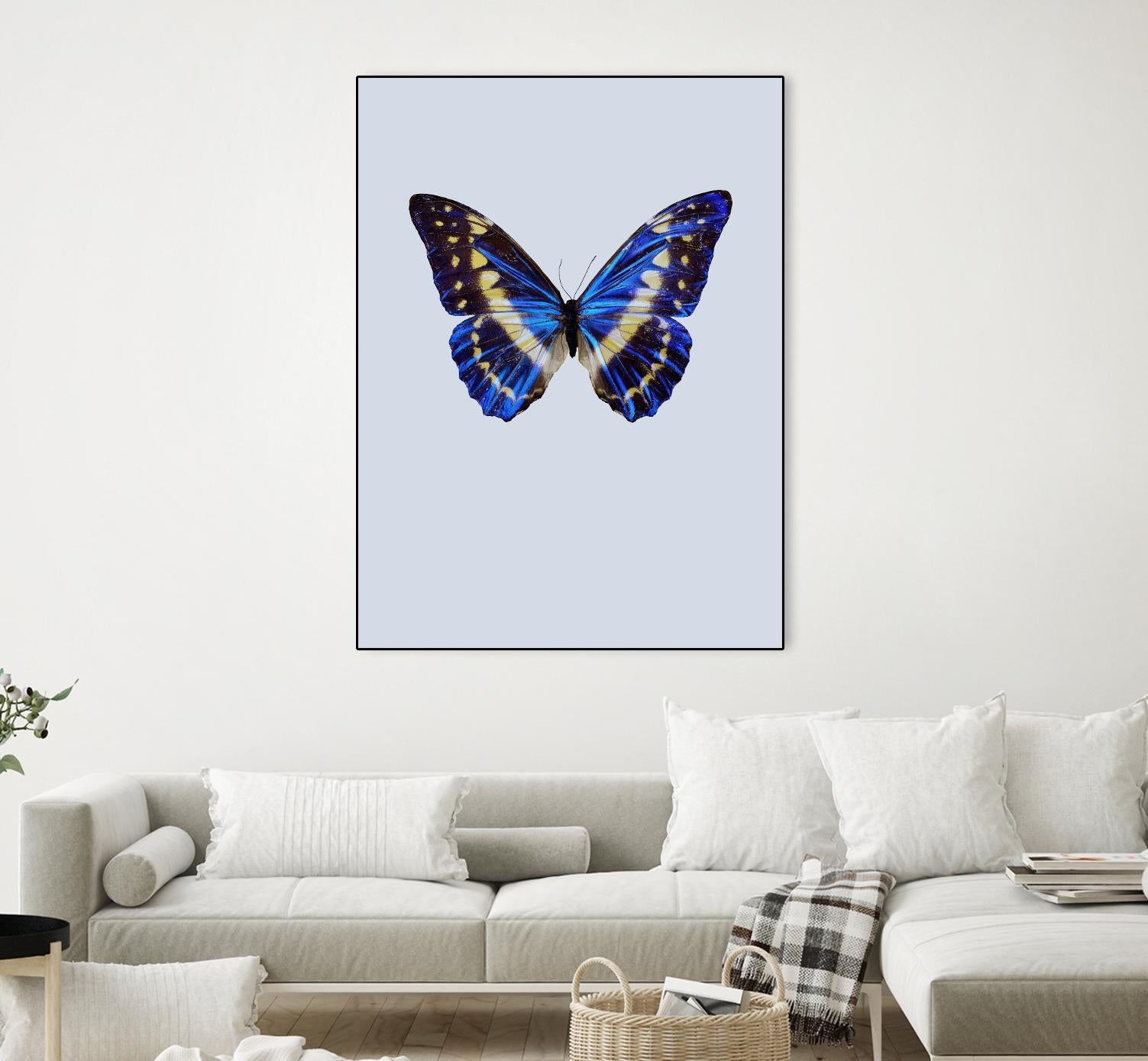 Blue Butterfly by Incado on GIANT ART - multicolor animals; floral/still life