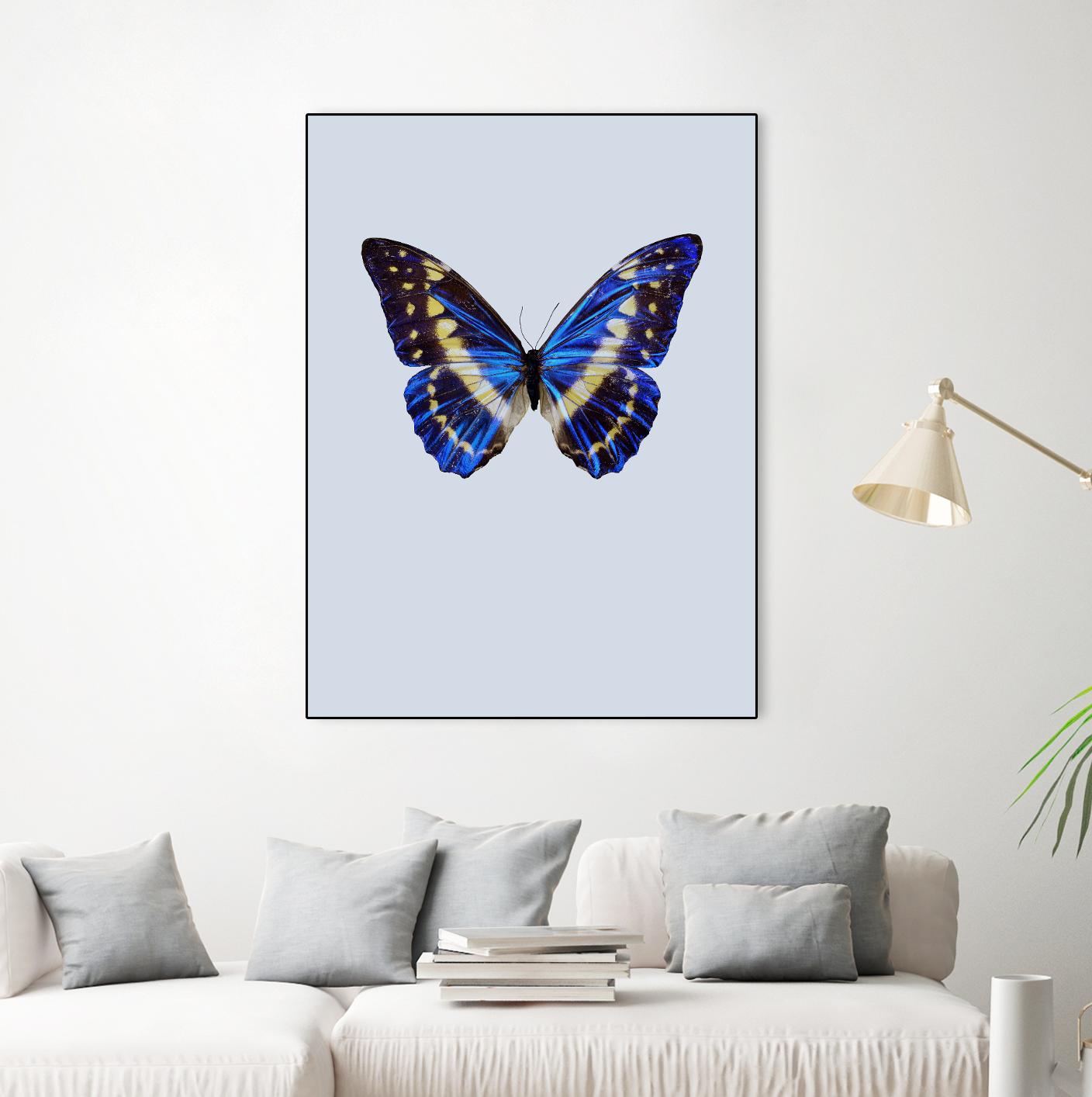 Blue Butterfly by Incado on GIANT ART - multicolor animals; floral/still life