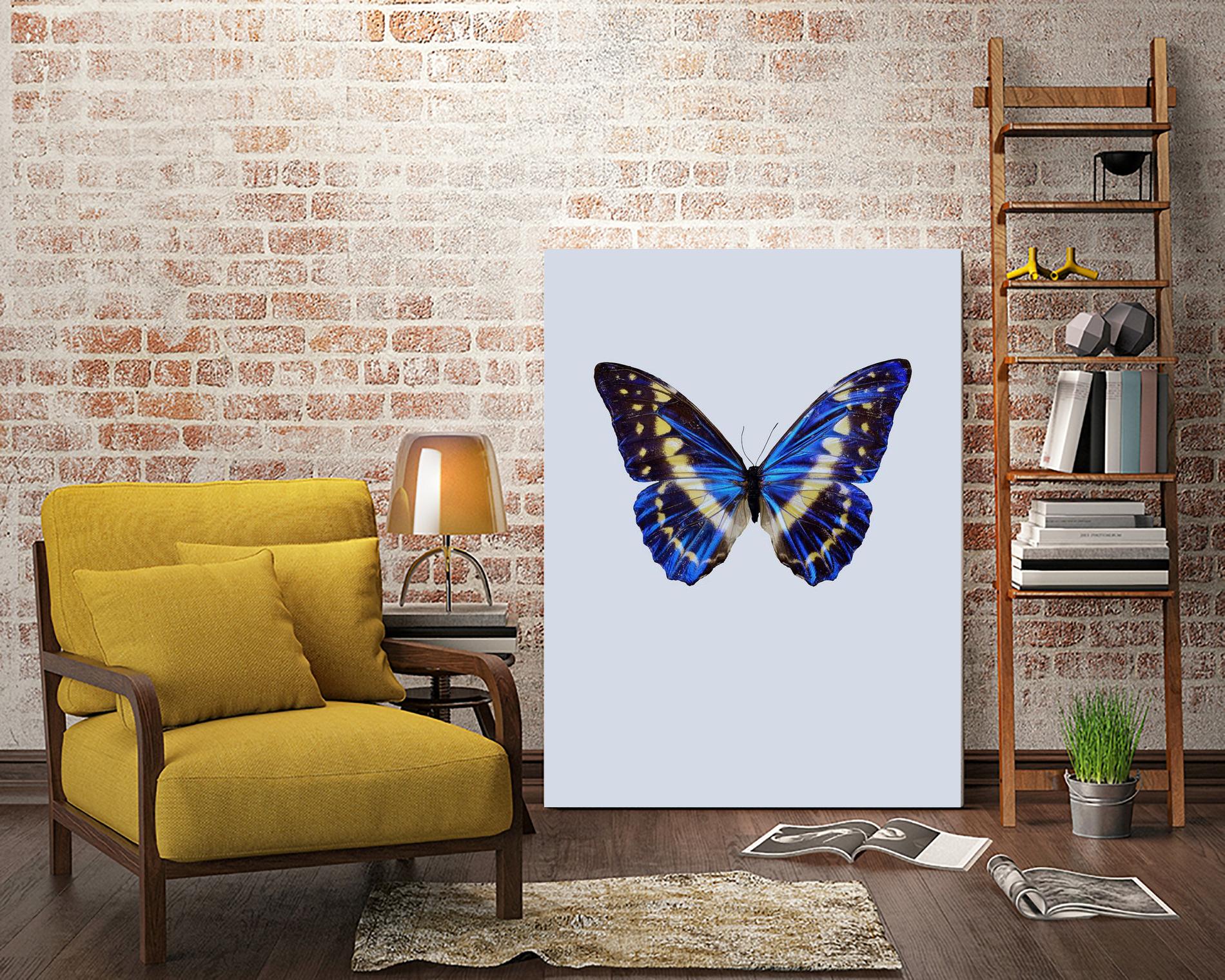 Blue Butterfly by Incado on GIANT ART - multicolor animals; floral/still life