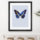 Blue Butterfly by Incado on GIANT ART - multicolor animals; floral/still life