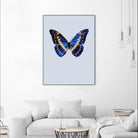 Blue Butterfly by Incado on GIANT ART - multicolor animals; floral/still life