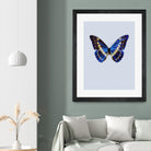 Blue Butterfly by Incado on GIANT ART - multicolor animals; floral/still life