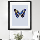 Blue Butterfly by Incado on GIANT ART - multicolor animals; floral/still life